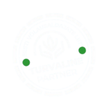 screenshot 2026 02 02 143831 removebg preview